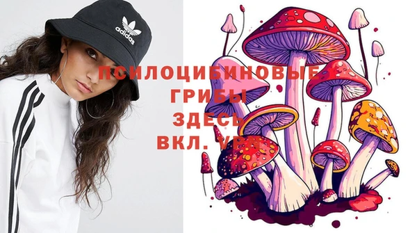 мескалин Арсеньев